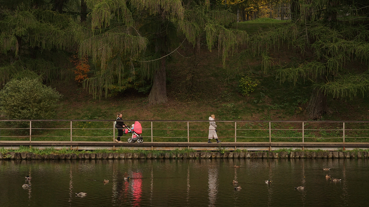 Четыре новых тематических парка появилось в этом году у жителей ТиНАО