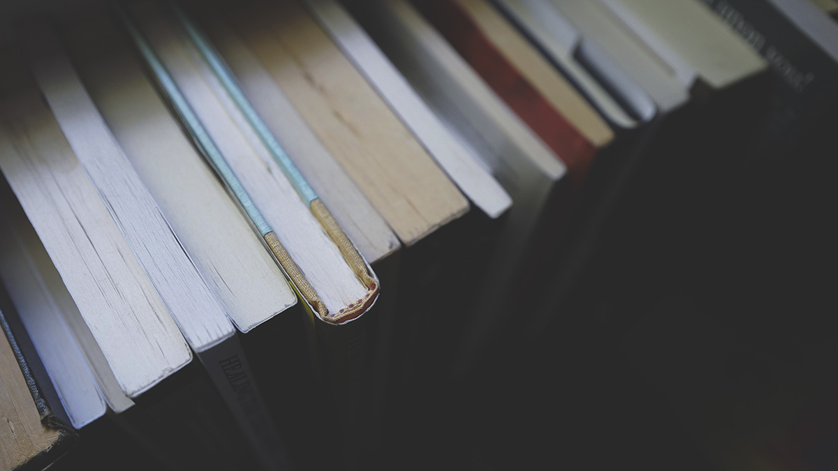 Без Пушкина, но с Пелевиным? Как изменится ЕГЭ по литературе в 2024 году