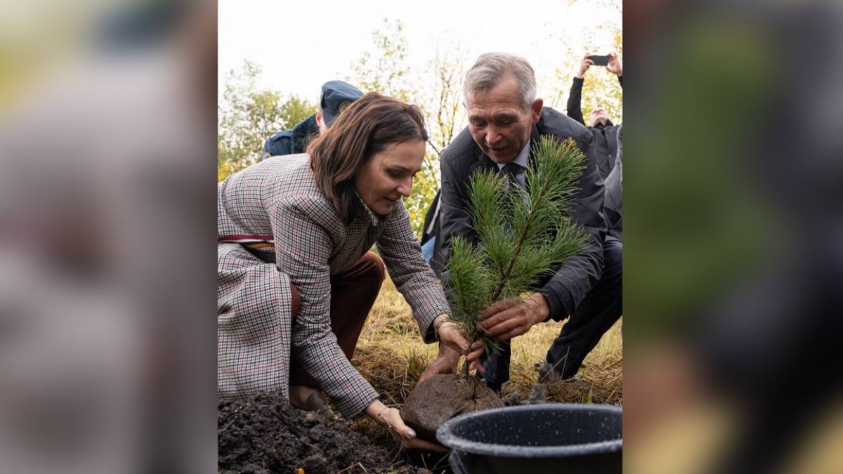 Депутат Татьяна Буцкая и председатель садоводов Чувашской Республики Юрий Соколов закладывают первый саженец будущей хвойной аллеи в честь 300-летия освоения Донбасса императором Петром I