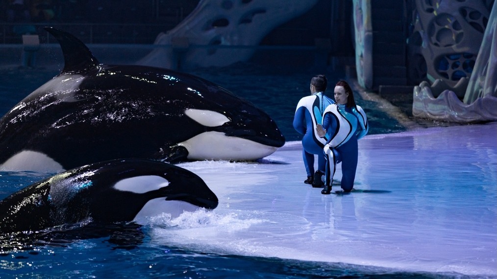 Все лучшее сразу для гостей «Москвариума»