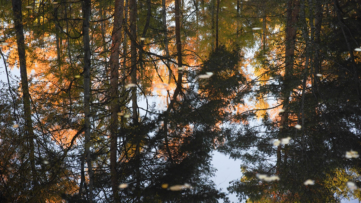 Синоптик Ильин предупредил о резких скачках давления в Москве на предстоящих выходных