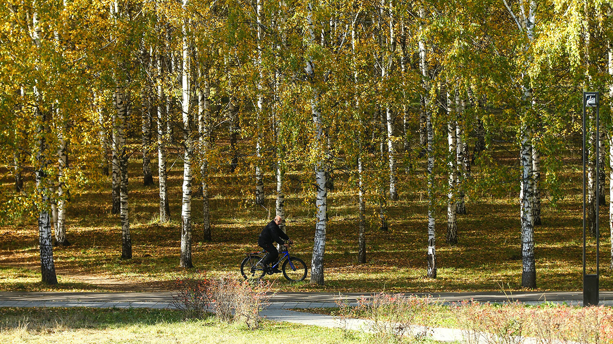 Синоптик Цыганков рассказал о погоде в Москве до конца недели