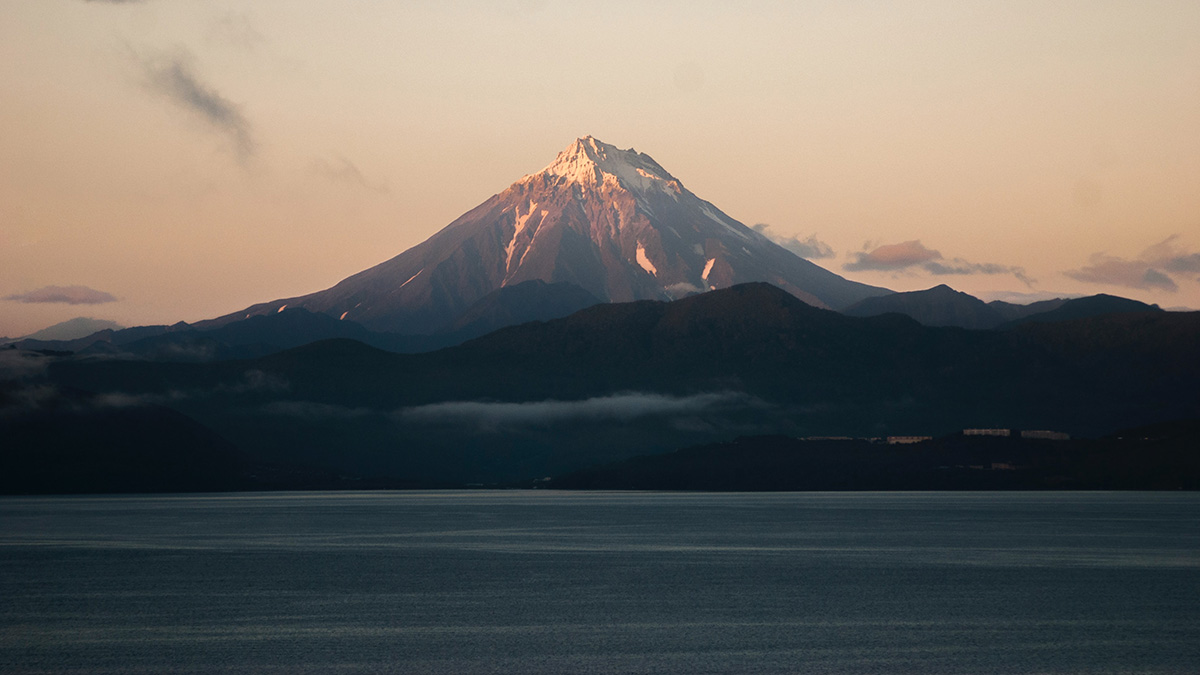 Три маленькие косатки, попавшие на мель на Камчатке, смогли вернуться в море