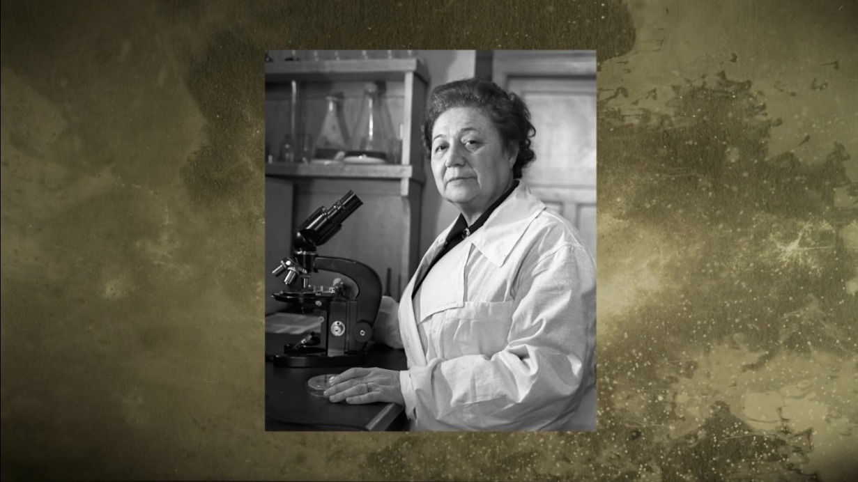 К 125-летию «госпожи Пенициллин» Музей Победы подготовил онлайн-программу