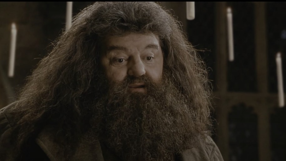 Умер актер Робби Колтрейн, сыгравший Хагрида в серии фильмов о Гарри Поттере