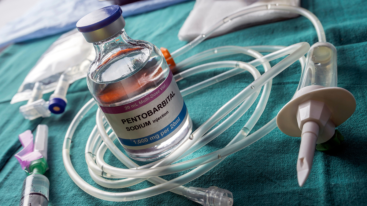 В России снова призвали отменить мораторий на смертную казнь