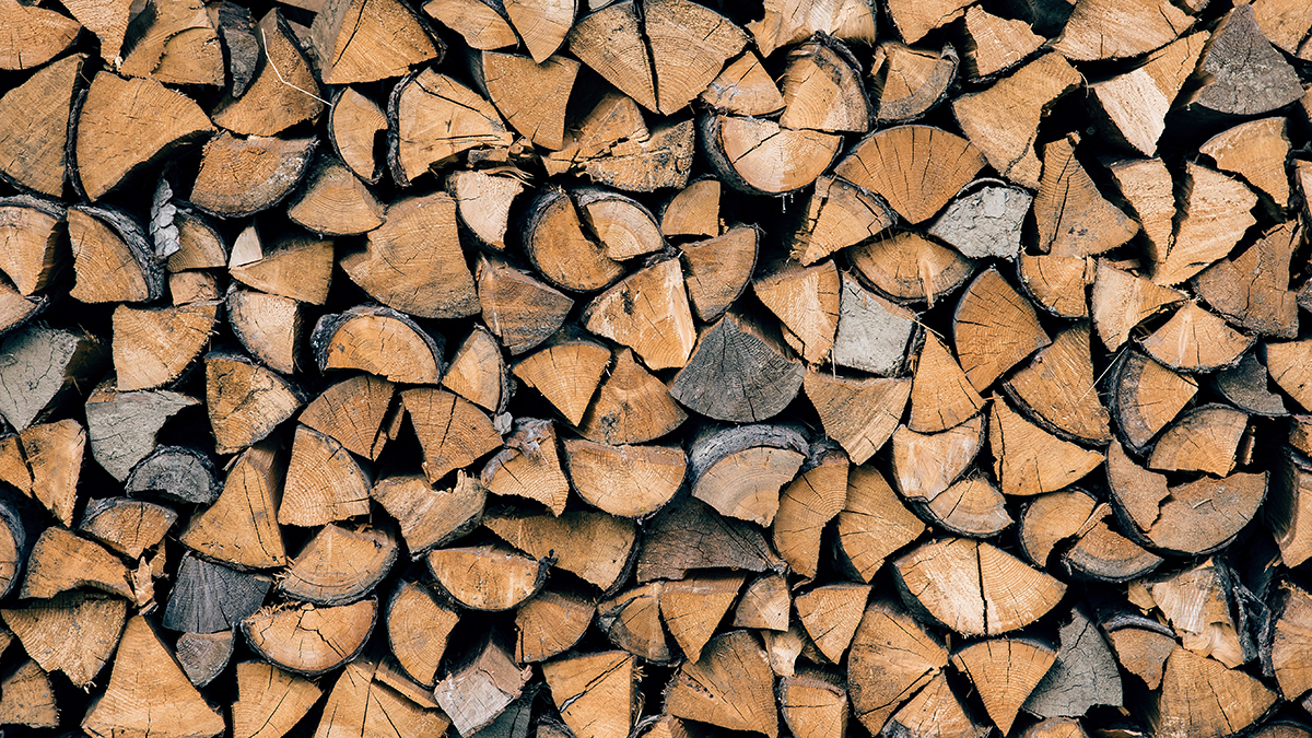 Советник Зеленского Литвин сообщил, что закон о дровах не будет подписан