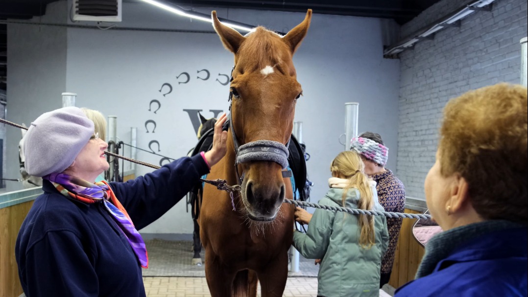 Верховая езда и психологическое здоровье: в проекте «Московское долголетие» проходят занятия по иппотерапии 