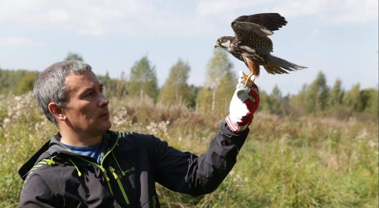 Зима близко: как проводится сезонная иммунизация животных и подготовка к холодам
