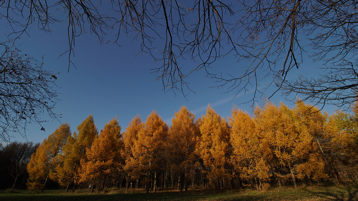 23 сентября: какой сегодня праздник отмечают