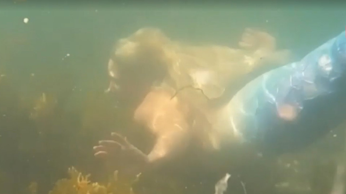 Жительница Британии поплавала в образе русалки в море и покорила соцсети