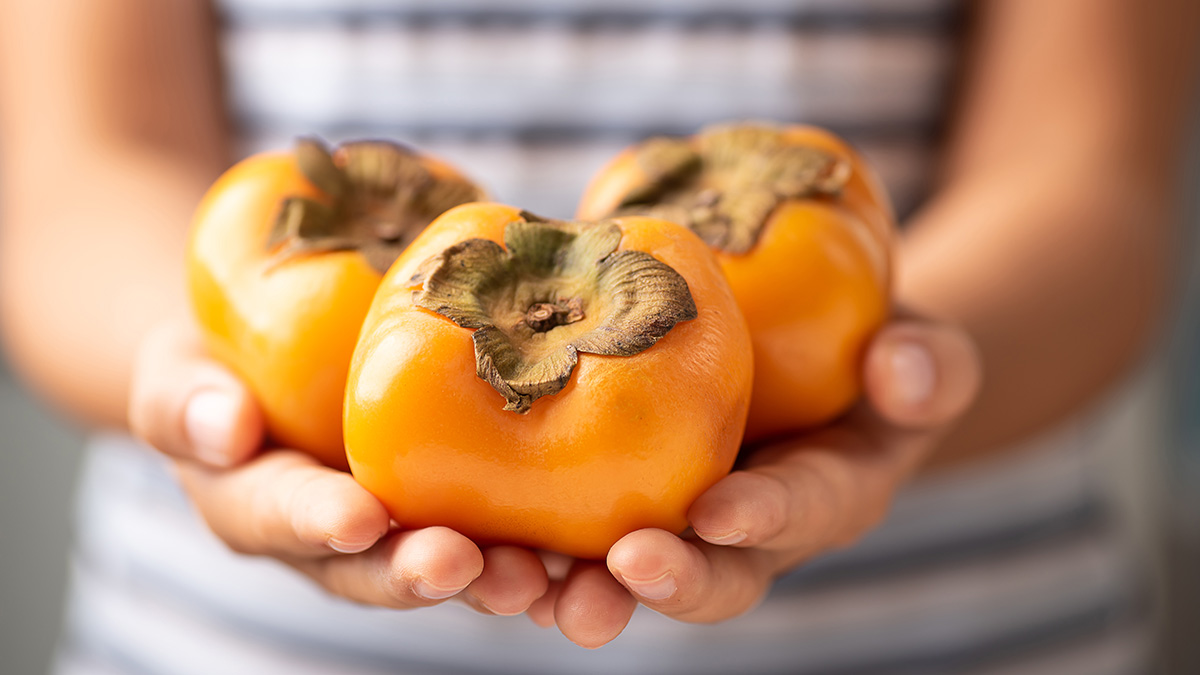 Терапевт Волкова рассказала, чем полезна хурма для организма