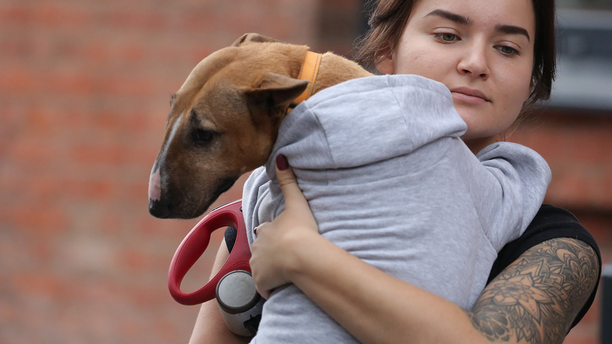 Какая ответственность грозит за оставление животного в машине в жару