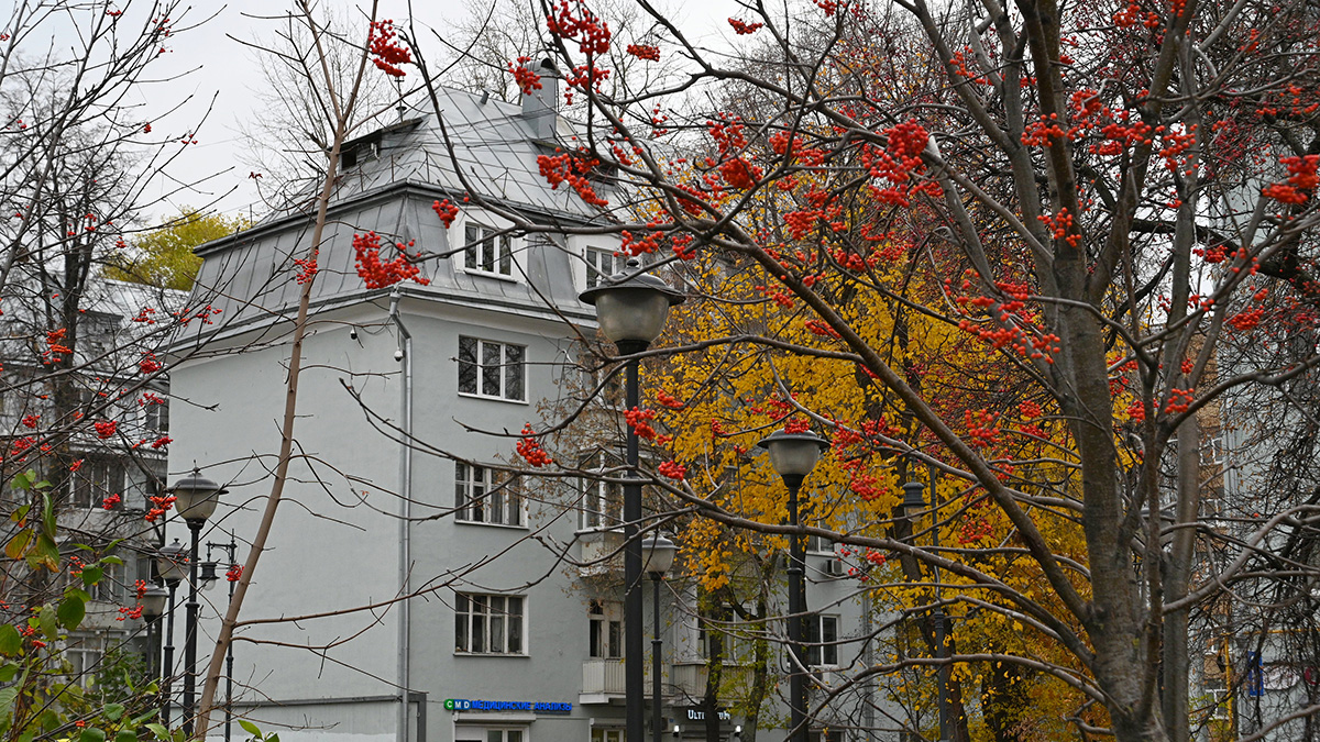 Москвичам пообещали потепление до плюс 10 градусов на следующей неделе 