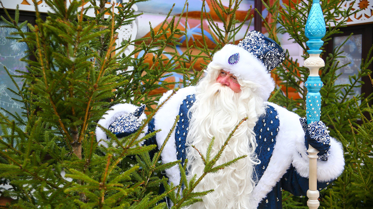 Конкурс на лучшее поздравление Деду Морозу прошел в Музее Победы