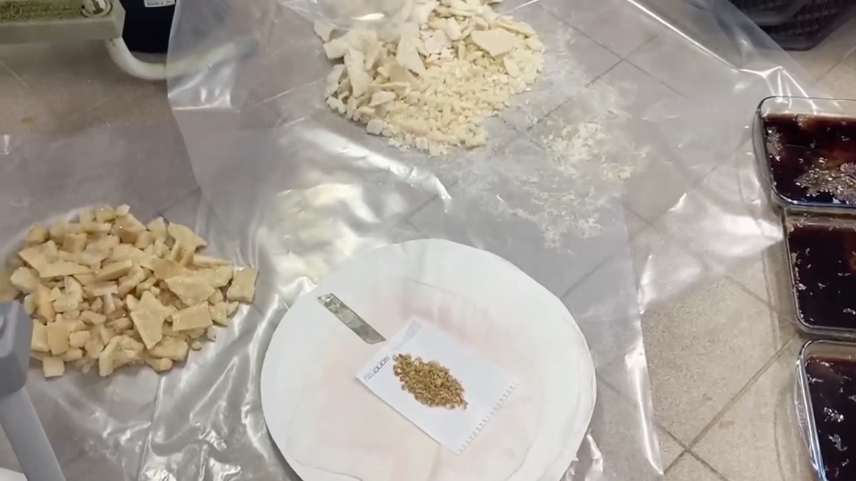 Полиция задержала наркодилера в подмосковном лесу и обнаружила его лабораторию