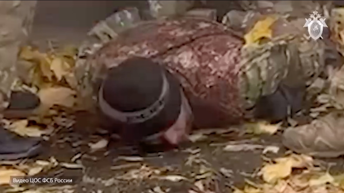 ФСБ и СК задержали еще двоих боевиков из банд Басаева и Хаттаба