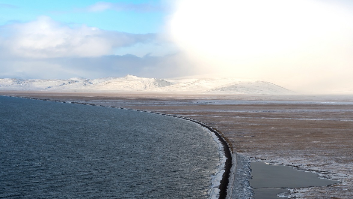 В США призвали «отобрать» у России остров Врангеля