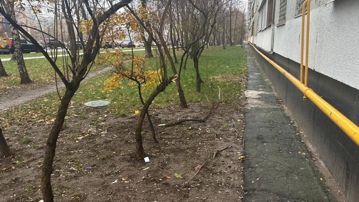 Мать девочки, выброшенной из окна на юге столицы, хотела свести счеты с жизнью