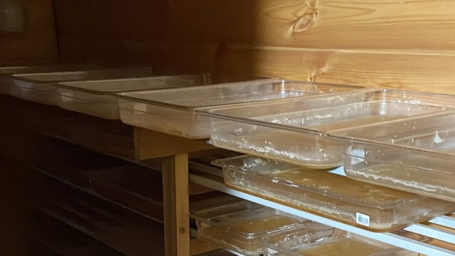 Подмосковные полицейские изъяли восемь килограммов мефедрона у наркоторговцев