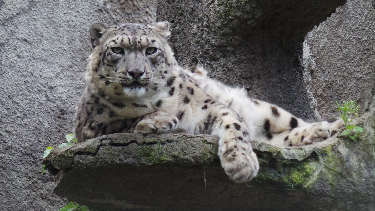 Праздники 23 октября