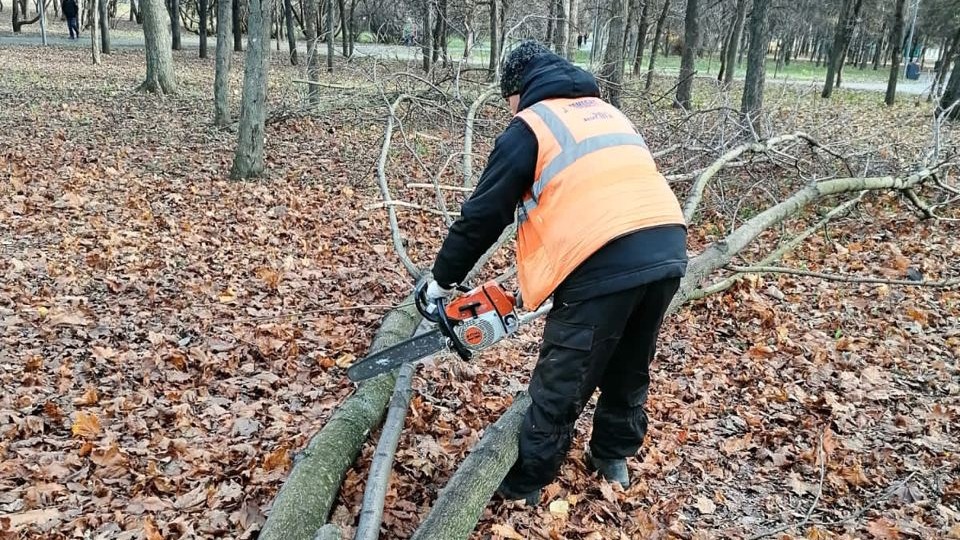 Городские службы устраняют последствия непогоды в Москве