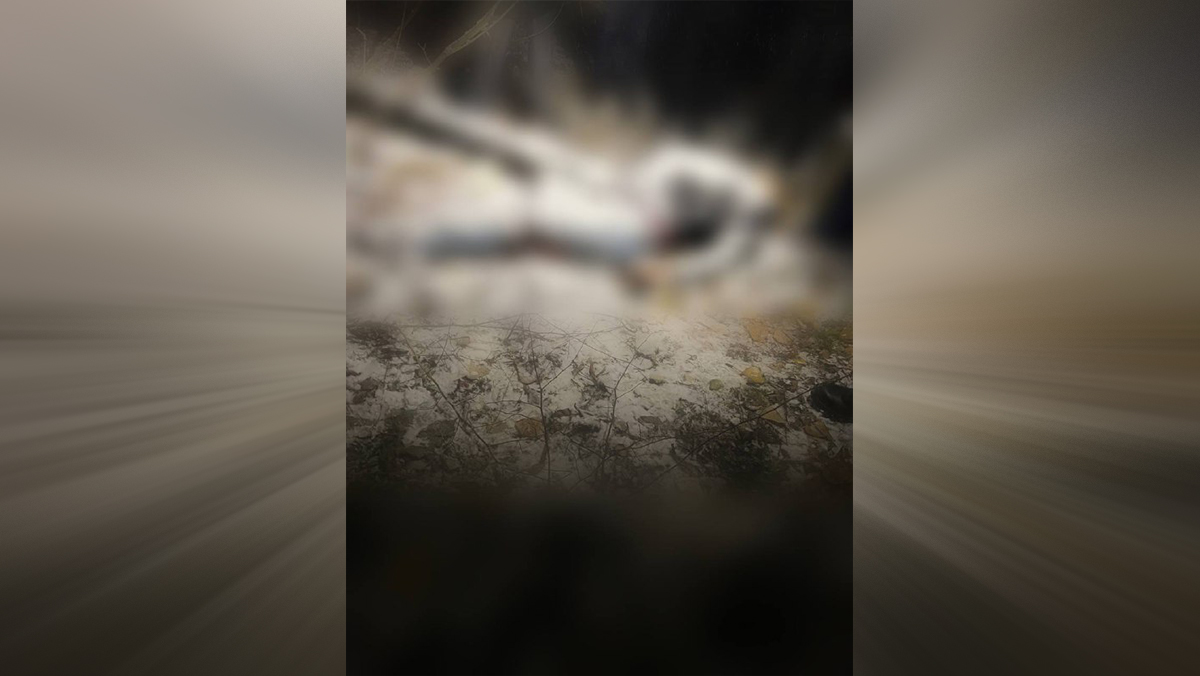 Появились подробности о мужчине, тело которого обнаружили на западе столицы