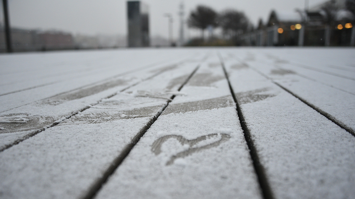 Метеостанция ВДНХ официально отметила появление первого снега в Москве