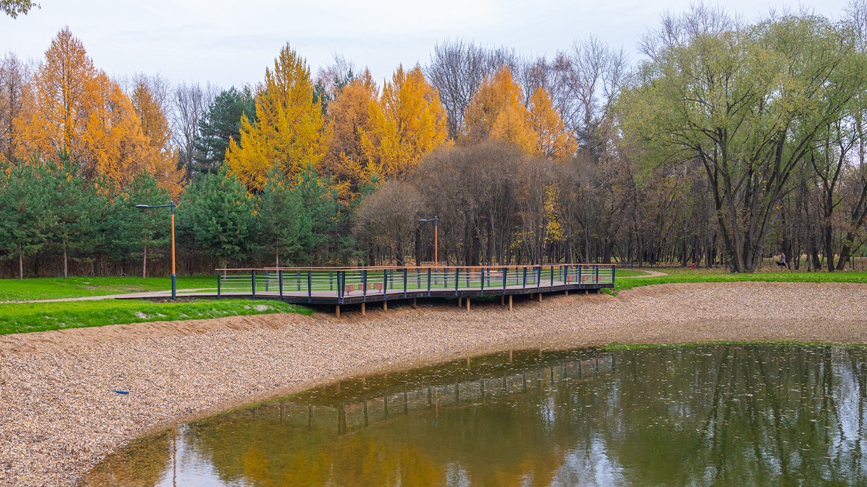 Экологическая реабилитация Сухого и Малого прудов в лесопарке «Кусково» завершилась 