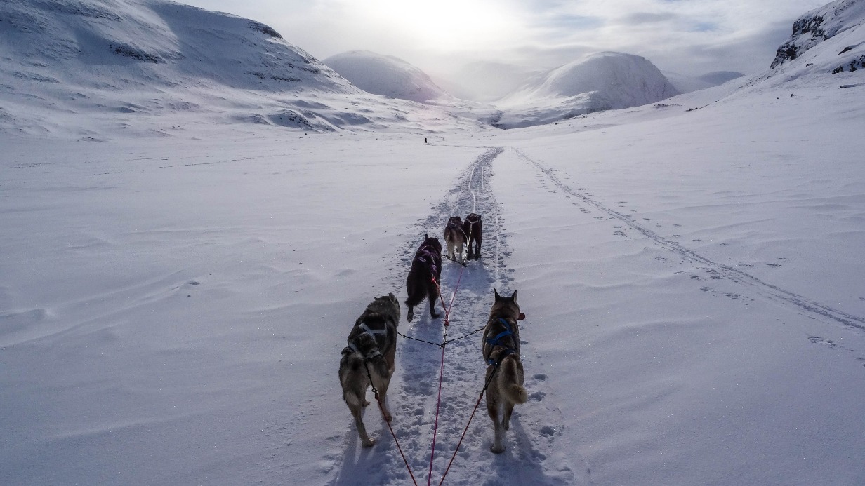 Школы каюров планируют открыть в Хабаровском крае