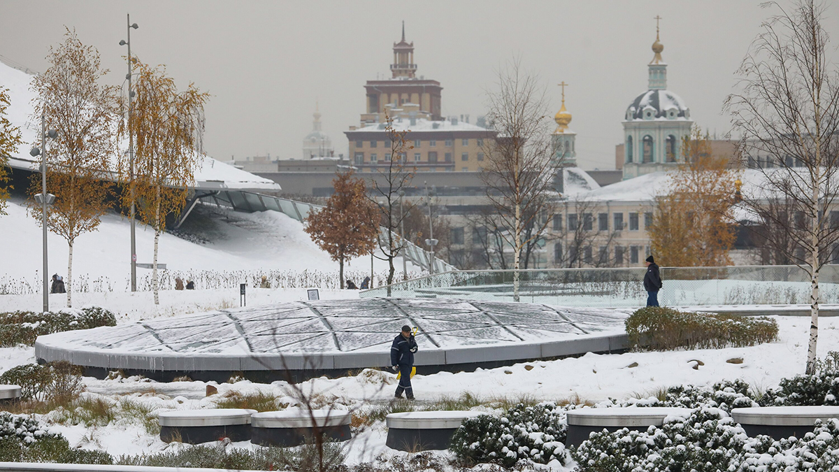 Боец ММА получил 15 миллионов рублей до совершения теракта в парке «Зарядье»