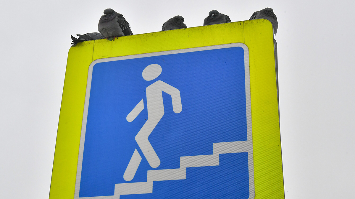 Пешеходный переход под Дмитровским шоссе и МЦД-1 откроют осенью 2023 года