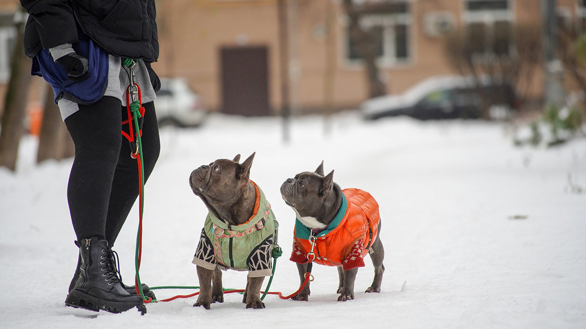 «Тепло и дожди»: метеоролог Позднякова рассказала о погоде в Москве на предстоящей неделе
