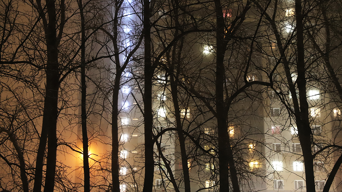 «Желтый» уровень опасности из-за тумана объявлен в Москве в ночь на 26 марта