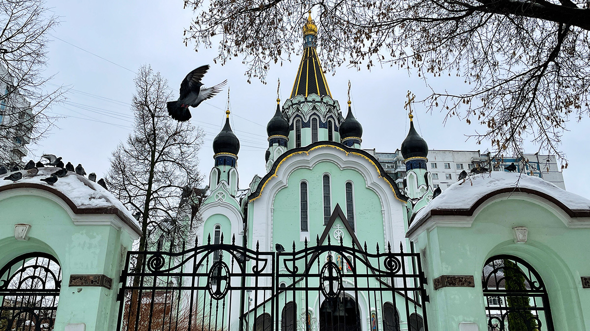 Погода в Москве и Подмосковье последние выходные осени — 2025