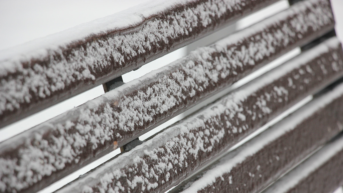 Мокрый снег и дождь пообещали жителям Москвы 14 марта