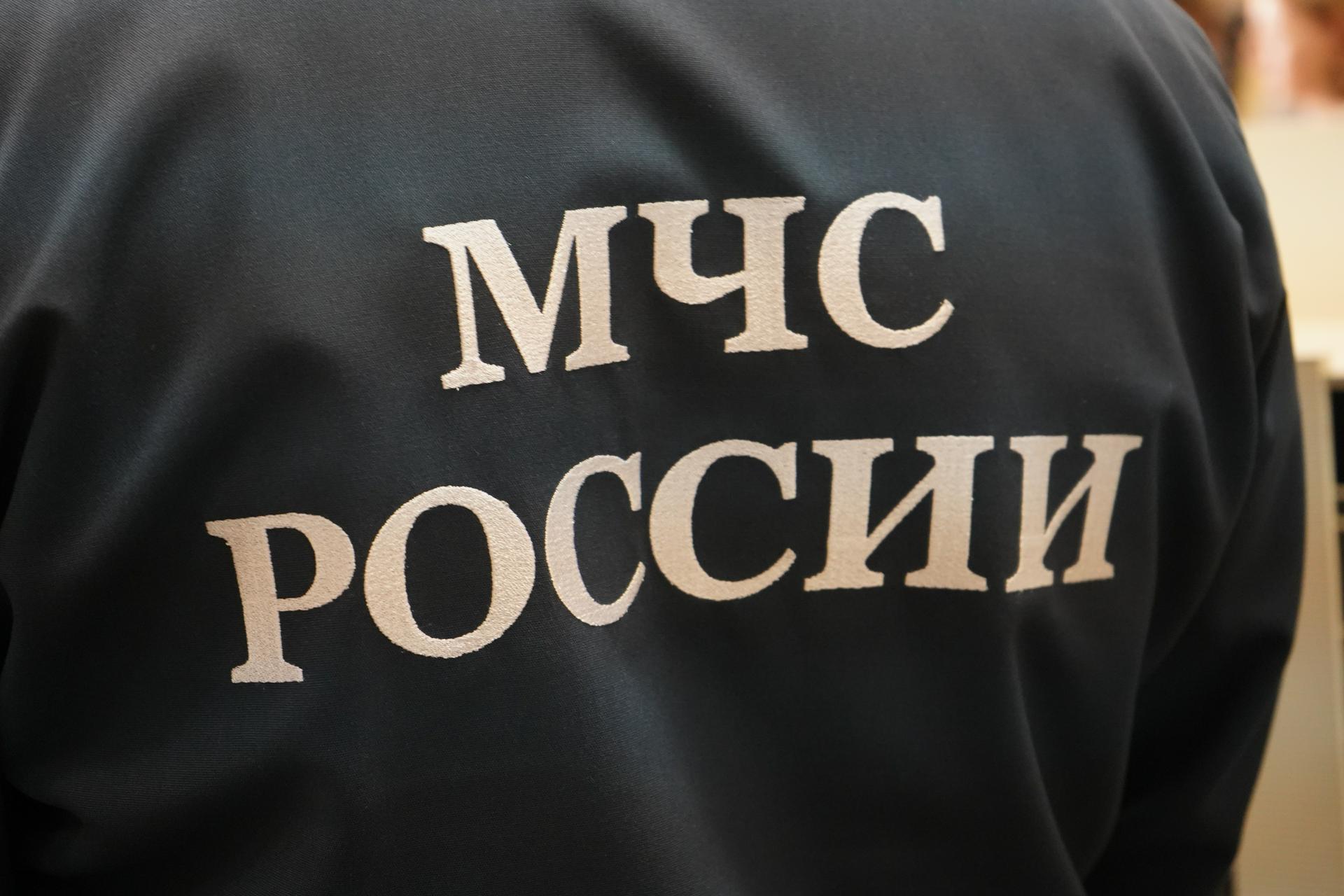 МЧС: В Домодедове приземлился самолет с эвакуированными из Газы 105 россиянами