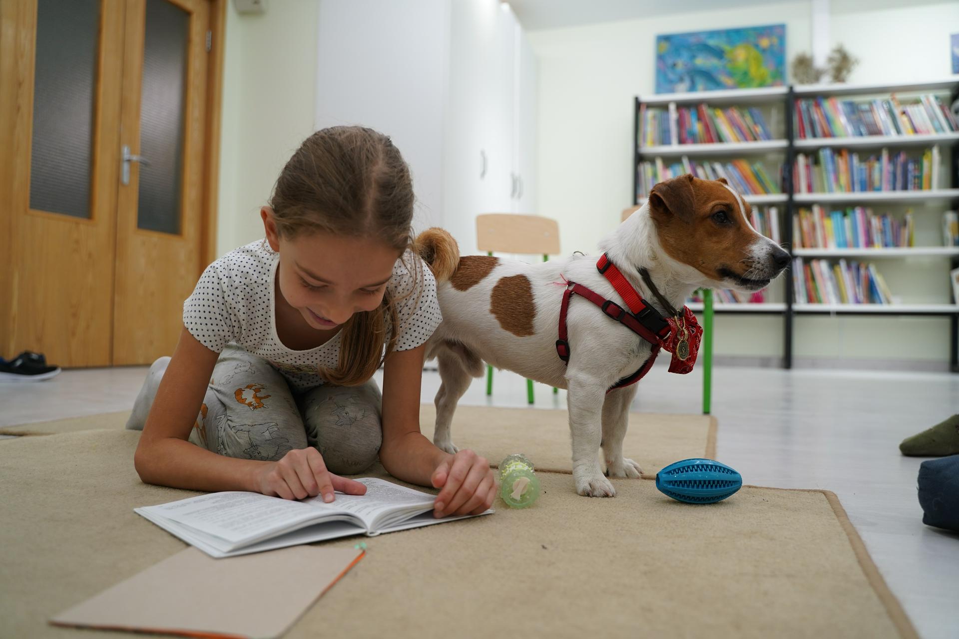 Педагог Хардин дал советы, как мотивировать ребенка читать