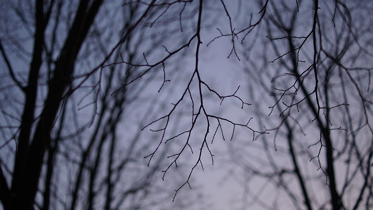 Следователи объяснили странную записку и появление Усольцева в Сети