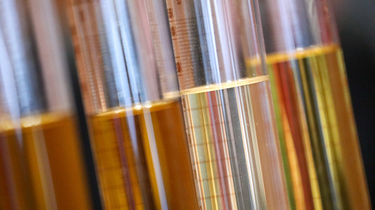 Случай заболевания ящуром зафиксировали в Турции