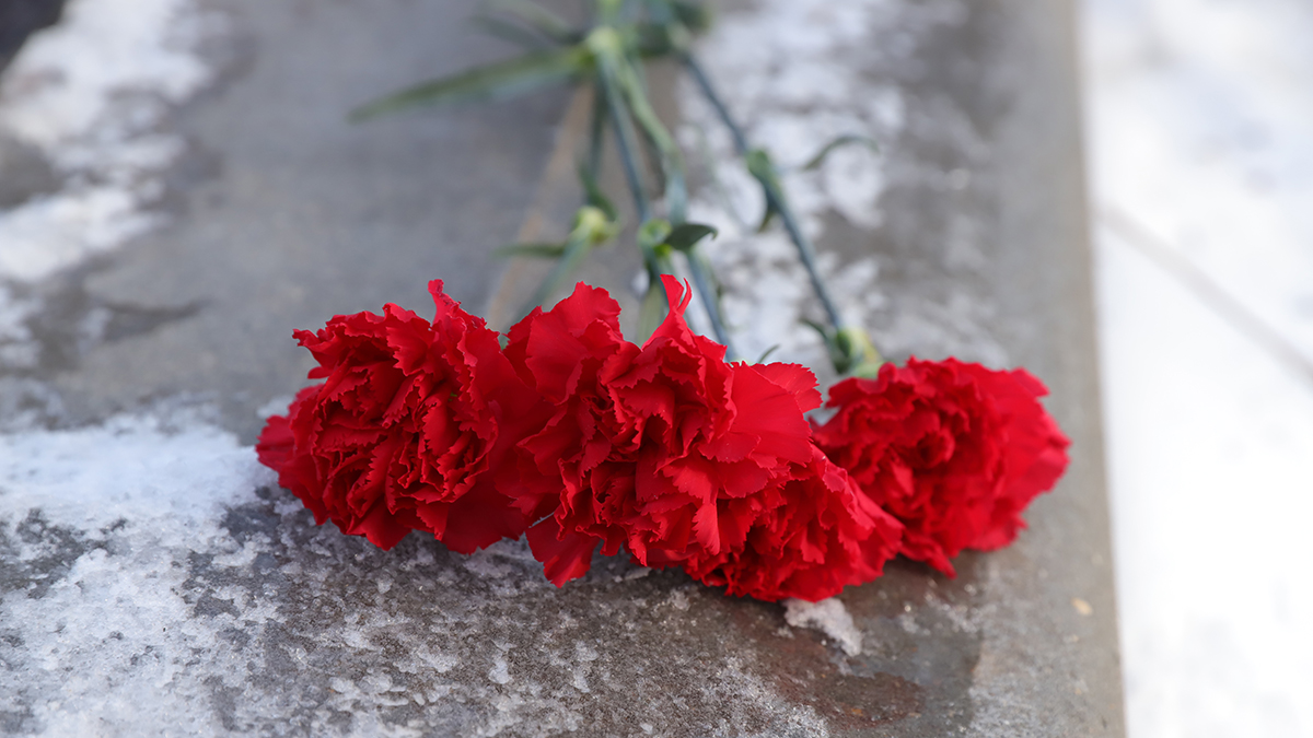 «Спас от немцев»: найдено письмо матери Сырского к погибшему в годы ВОВ отцу