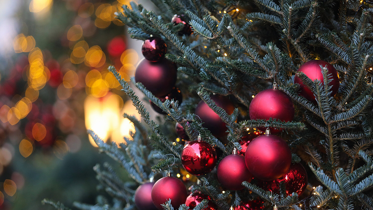 Посвященную памятникам архитектуры елку установили в Замоскворечье