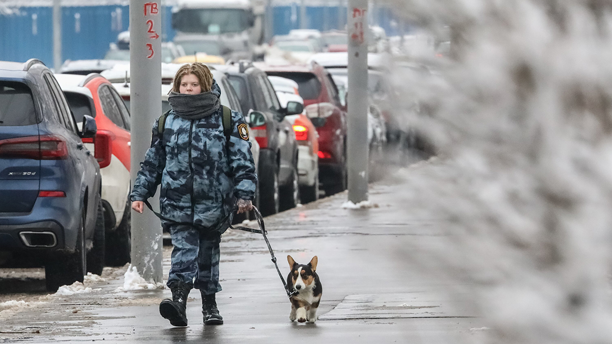 Синоптик Позднякова назвала последний день астрономической зимы в Москве