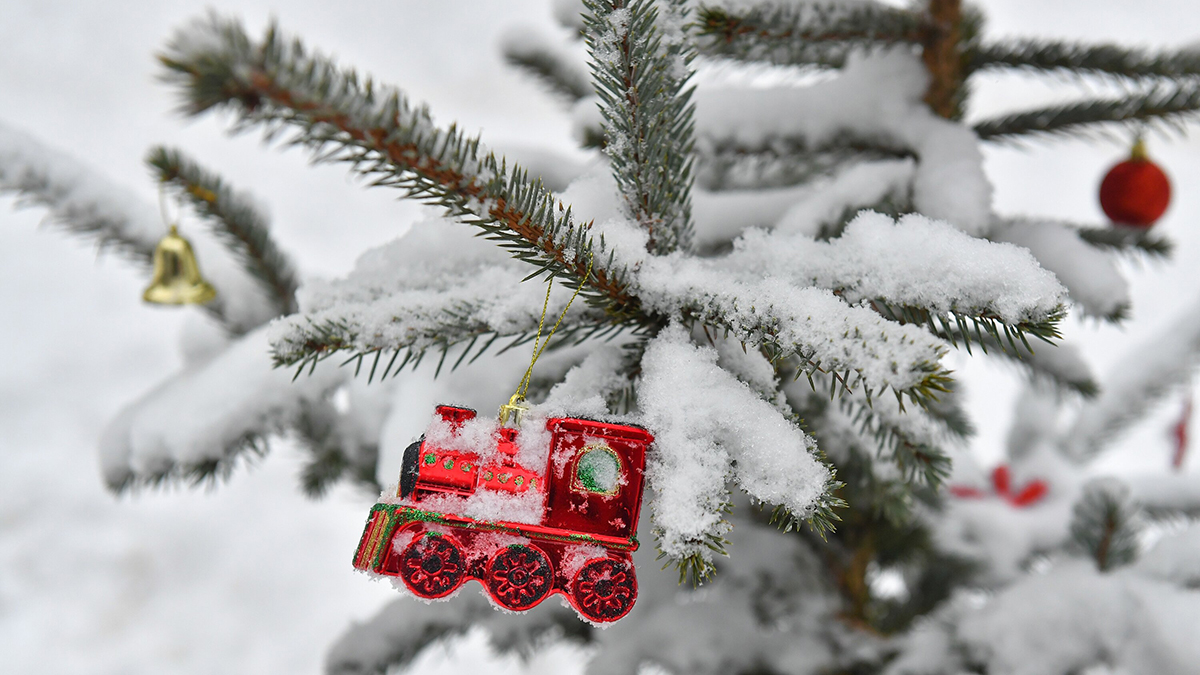 Опасный Дед Мороз: прокурор рассказал, как не стать жертвой мошенников в новогоднюю ночь