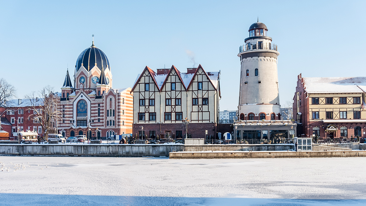 Экс-глава МИД Литвы Линкявичюс пригрозил «нейтрализовать» Калининград