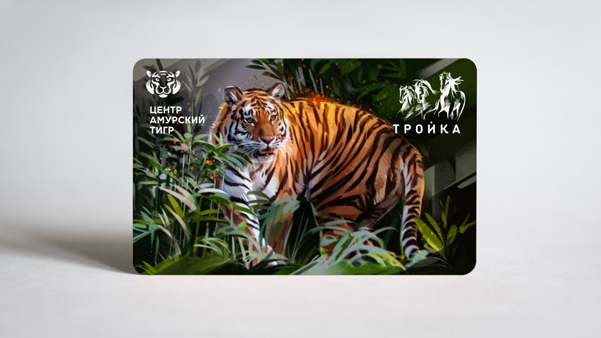 Новые тематические «Тройки» с амурскими тиграми поступили в продажу в Москве
