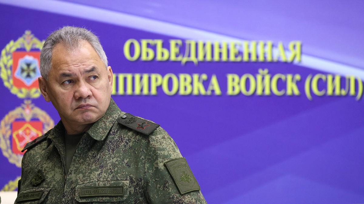 Шойгу проверил организацию боевой подготовки военнослужащих по контракту на полигонах ЮВО