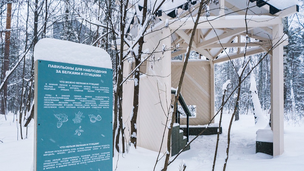 Павильоны для наблюдения за животными установили в Щукинском парке и Всехсвятской роще