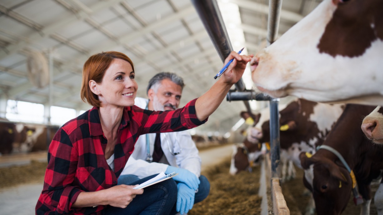 Будем делать отличные лекарства