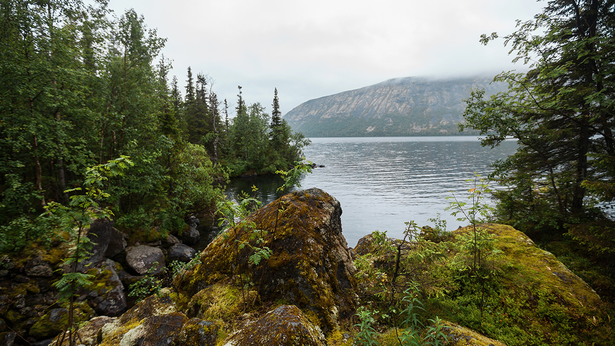 Пропавшие на Кольском полуострове московские школьники нашлись
